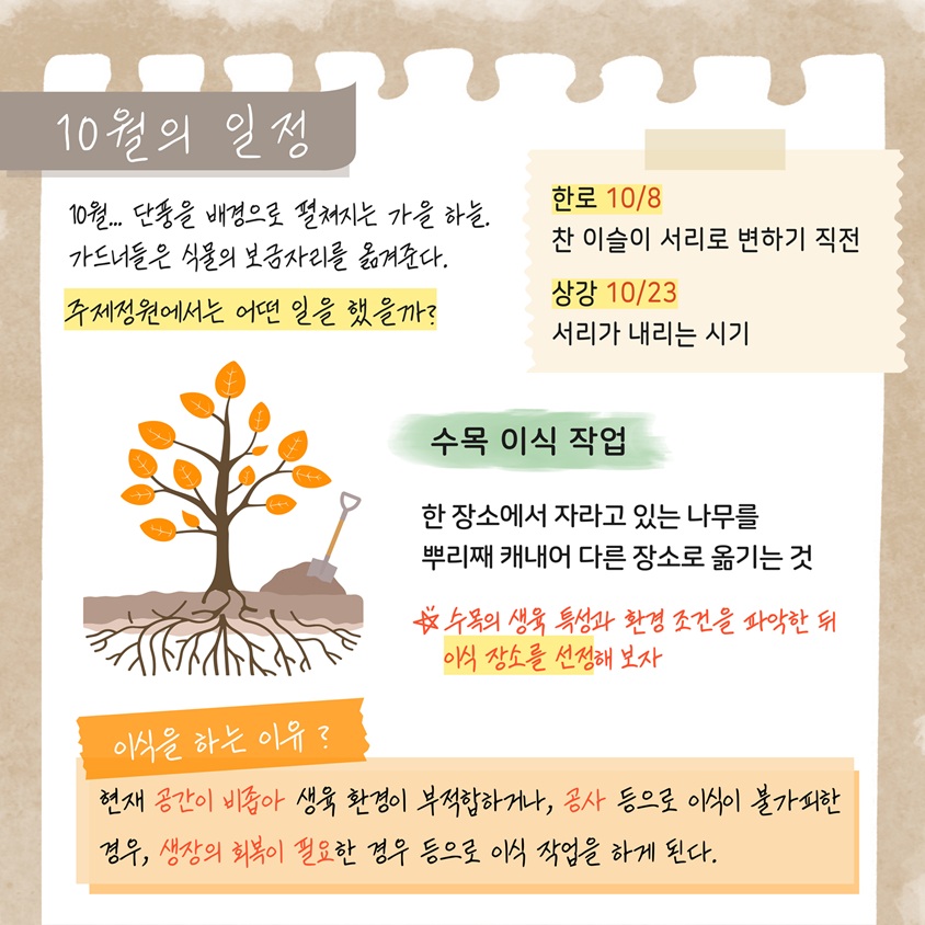 10월의 일정 10월… 단풍을 배경으로 펼쳐지는 가을 하늘. 가드너들은 식물의 보금자리를 옮겨준다. 주제정원에서는 어떤 일을 했을까? 
한로 10월8일 찬 이슬이 서리로 변하기 직전
상강 10월23일 서리가 내리는 시기
수목 이식 작업 한 장소에서 자라고 있는 나무를 뿌리째 캐내어 다른 장소로 옮기는 것
수목의 생육 특성과 환경조건을 파악한 뒤 이식장소를 선정해 보자
이식을 하는 이유 현재 공간이 비좁아 생육 환경이 부적합하거나 공사 등으로 이식이 불가피한 경우 생장의 회복이 필요한 경우 등으로 이식 작업을 하게 된다.