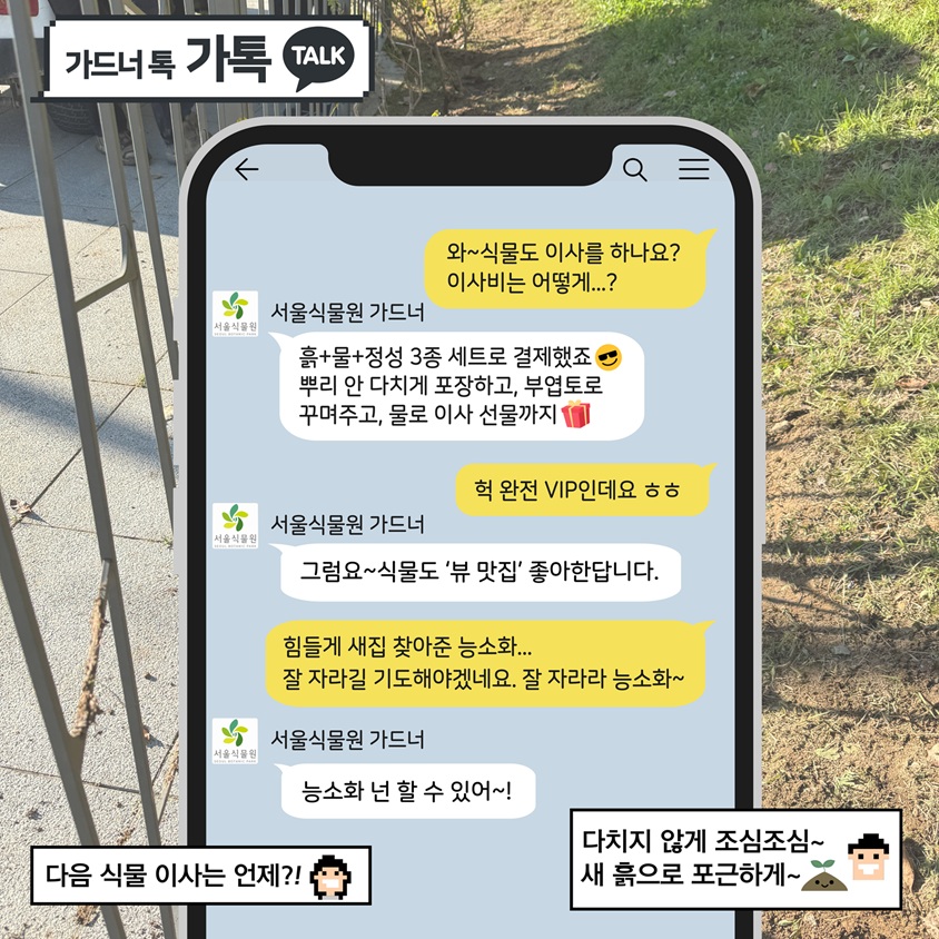 가드너 톡 가톡 TALK
Q: 와~ 식물도 이사를 하나요? 이사비는 어떻게…?
서울식물원 가드너: 흙, 물, 정성 3종 세트로 결제했죠. 뿌리 안 다치게 포장하고 부엽토로 꾸며주고 물로 이사 선물까지
Q: 헉 완전 VIP인데요
서울식물원 가드너: 그럼요~ 식물도 ‘뷰 맛집’ 좋아한답니다.
Q: 힘들게 새집 찾아준 능소화… 잘 자리길 기도해야겠네요. 잘 자라라 능소화~
서울식물원 가드너: 능소화 넌 할 수 있어~!
다음 식물 이사는 언제?! 
다치치 않게 조심조심~ 새 흙으로 포근하게~