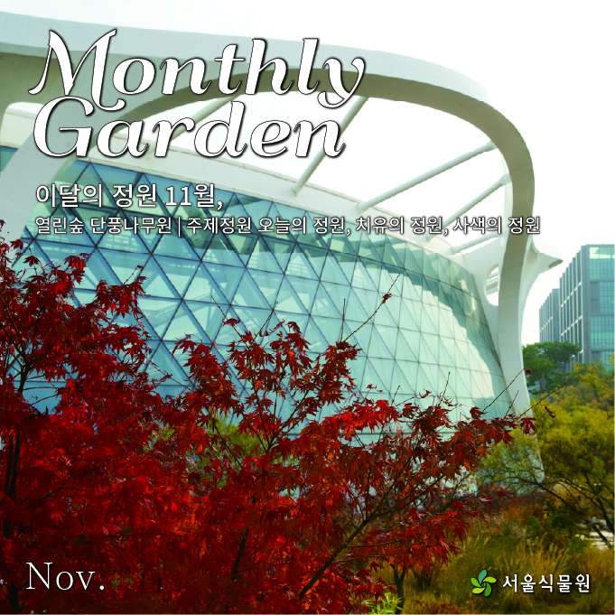 가을의 끝에서 만나는 단풍정원1 Monthly Garden
이달의 정원 11월, 열린숲 단풍나무원, 주제정원 오늘의 정원, 치유의 정원, 사색의 정원
Nov.
서울식물원