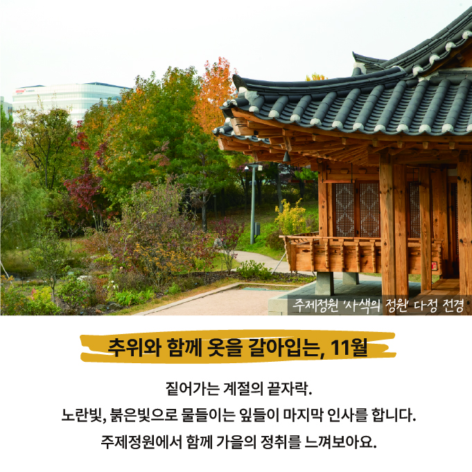 가을의 끝에서 만나는 단풍정원2 주제정원 ‘사색의 정원’ 다정 전경 사진
추위와 함께 옷을 갈아입는, 11월
짙어가는 계절의 끝자락. 노란빛, 붉은빛으로 물들이는 잎들이 마지막 인사를 합니다. 주제정원에서 함께 가을의 정취를 느껴보아요.