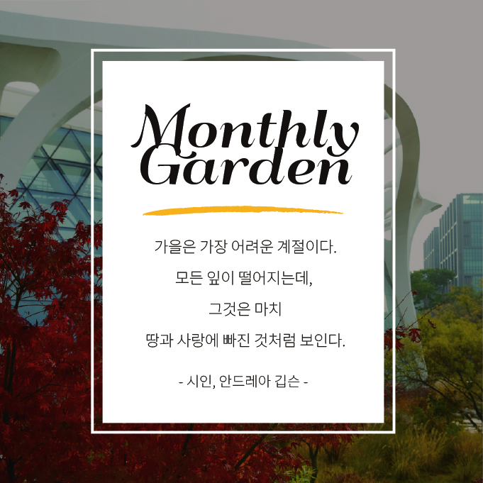 가을의 끝에서 만나는 단풍정원8 Monthly Garden
가을은 가장 어려운 계절이다. 모든 잎이 떨어지는데, 그것은 마치 땅과 사랑에 빠진 것처럼 보인다. 시인, 안드레아 깁슨
