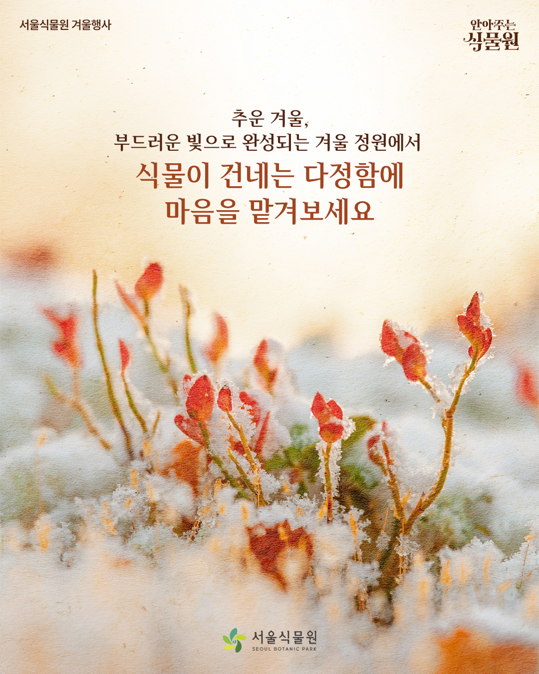 서울식물원 겨울행사 안아주는 식물원
추운 겨울, 부드러운 빛으로 완성되는 겨울 정원에서 식물이 건네는 다정함에 마음을 맡겨보세요.
서울식물원