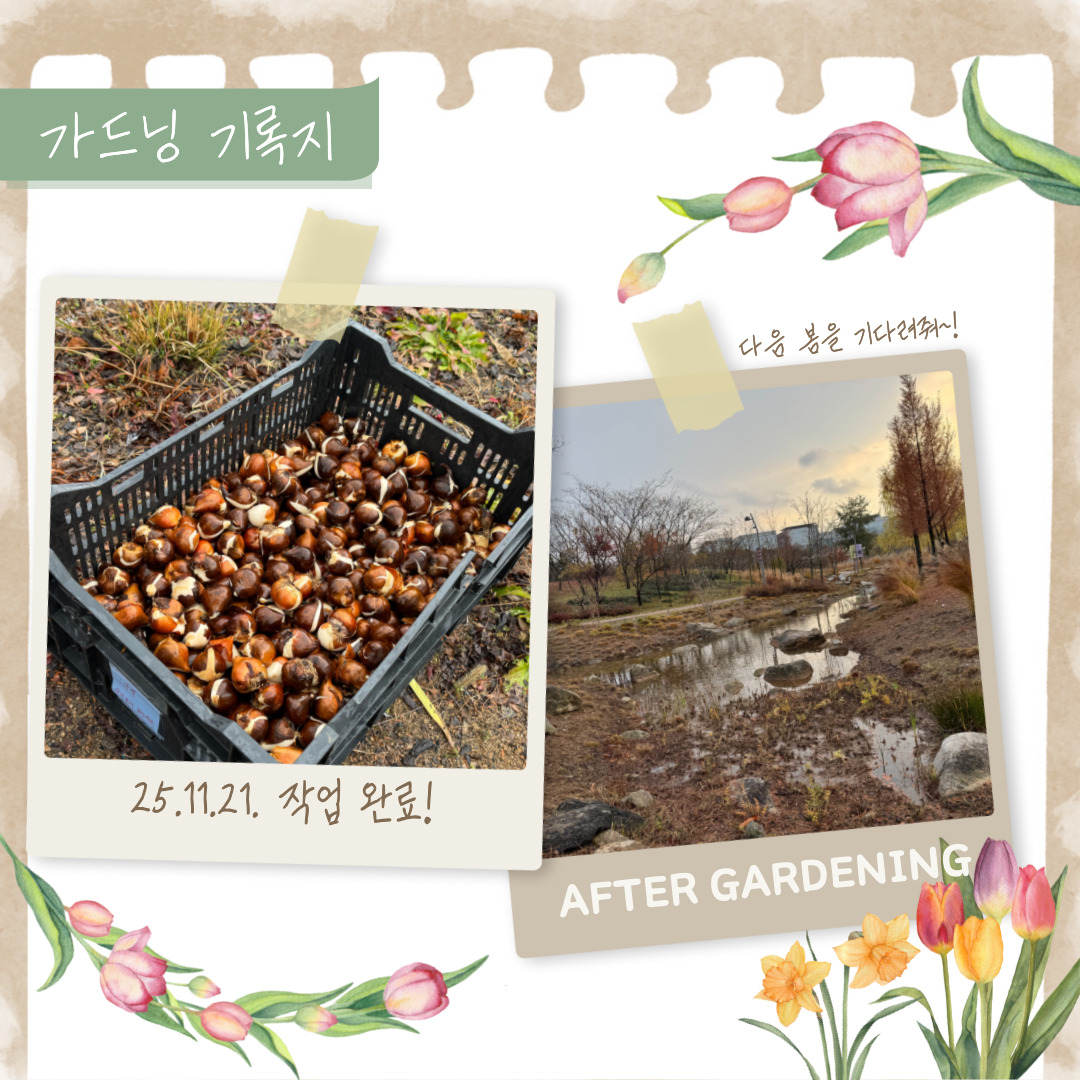 가드닝 기록지
25년 11월21일 작업 완료!
AFTER GARDENING 다음 봄을 기다려줘~!