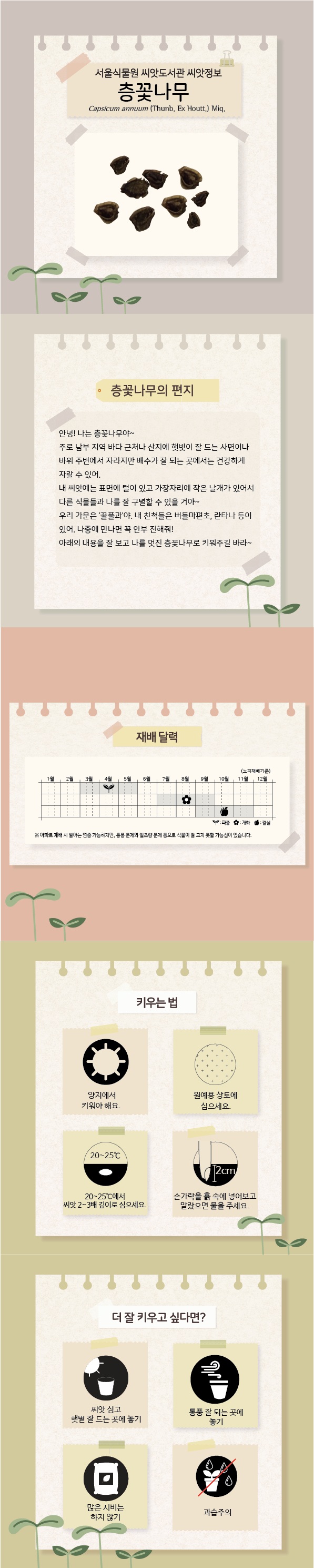 서울식물원 씨앗도서관 씨앗정보 층꽃나무 Capsicum annuum(Thunb. Ex Houtt.) Miq.
층꽃나무의 편지: 안녕! 나는 층꽃나무야~ 주로 남부 지역 바다 근처나 산지에 햇빛이 잘 드는 사면이나 바위 주변에서 자라지만 배수가 잘 되는 곳에서는 건강하게 자랄 수 있어. 내 씨앗에는 표면에 털이 있고 가장자리에 작은 날개가 있어서 다른 식물들과 나를 잘 구별할 수 있을거야~ 우리 가문은 꿀풀과야. 내 친척들은 버들마편초, 란타나 등이 있어. 나중에 만나면 꼭 안부 전해줘! 아래의 내용을 잘 보고 나를 멋진 층꽃나무로 키워주길 바라~
재배달력: 노지재배기준, 3월에서 5월까지 파종, 7월에서 9월까지 개화, 9월에서 11월까지 결실. 아파트 재배 시 발아는 연중 가능하지만, 통풍 문제와 일조량 문제 등으로 식물이 잘 크지 못할 가능성이 있습니다. 
키우는 법: 양지에서 키워야 해요. 원예용 상토에 심으세요. 20에서 25도에서 씨앗 2에서 3배 깊이로 심으세요. 손가락을 흙 속에 넣어보고 말랐으면 물을 주세요.
더 잘 키우고 싶다면: 씨앗 심고 햇볕 잘 드는 곳에 놓기, 통풍 잘 되는 곳에 놓기, 많은 시비는 하지 않기, 과습주의