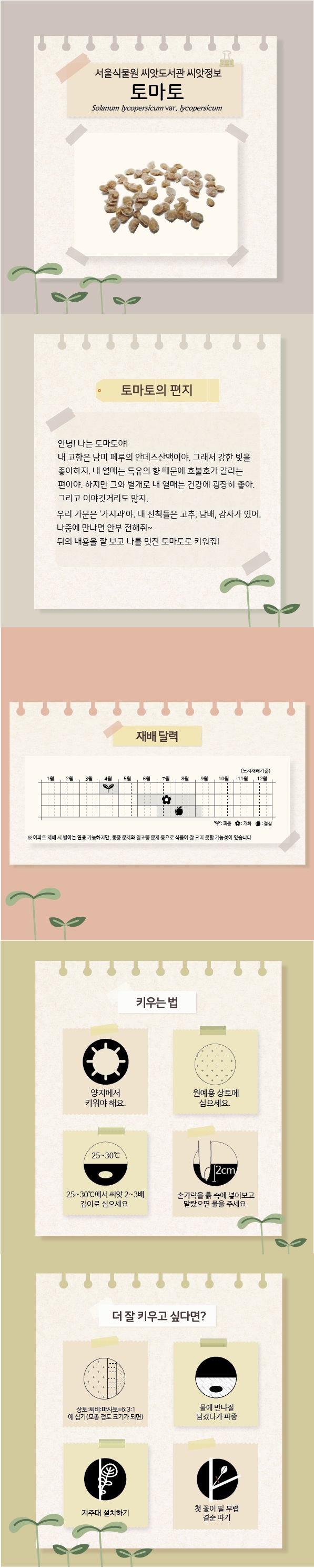 서울식물원 씨앗도서관 씨앗정보 토마토 Solanum lycopersicum var. lycopersicum
토마토의 편지: 안녕! 나는 토마토야! 내 고향은 남미 페루의 안데스산맥이야. 그래서 강한 빛을 좋아하지. 내 열매는 특유의 향 때문에 호불호가 갈리는 편이야. 하지만 그와 별개로 내 열매는 건강에 굉장히 좋아. 그리고 이야깃거리도 많지. 우리 가문은 가지과야. 내 친척들은 고추, 담배, 감자가 있어. 나중에 만나면 안부 전해줘. 뒤의 내용을 잘 보고 나를 멋진 토마토로 키워줘.
재배달력: 노지재배기준, 4월 파종, 6월에서 8월까지 개화, 7월에서 9월 초까지 결실. 아파트 재배 시 발아는 연중 가능하지만, 통풍 문제와 일조량 문제 등으로 식물이 잘 크지 못할 가능성이 있습니다. 
키우는 법: 양지에서 키워야 해요. 원예용 상토에 심으세요. 25에서 30도에서 씨앗 2에서 3배 깊이로 심으세요. 손가락을 흙 속에 넣어보고 말랐으면 물을 주세요.
더 잘 키우고 싶다면: 상토:퇴비:마사토=6:3:1에 심기(모종 정도 크기가 되면), 물에 반나절 담갔다가 파종, 지주대 설치하기, 첫 꽃이 필 무렵 곁순 따기