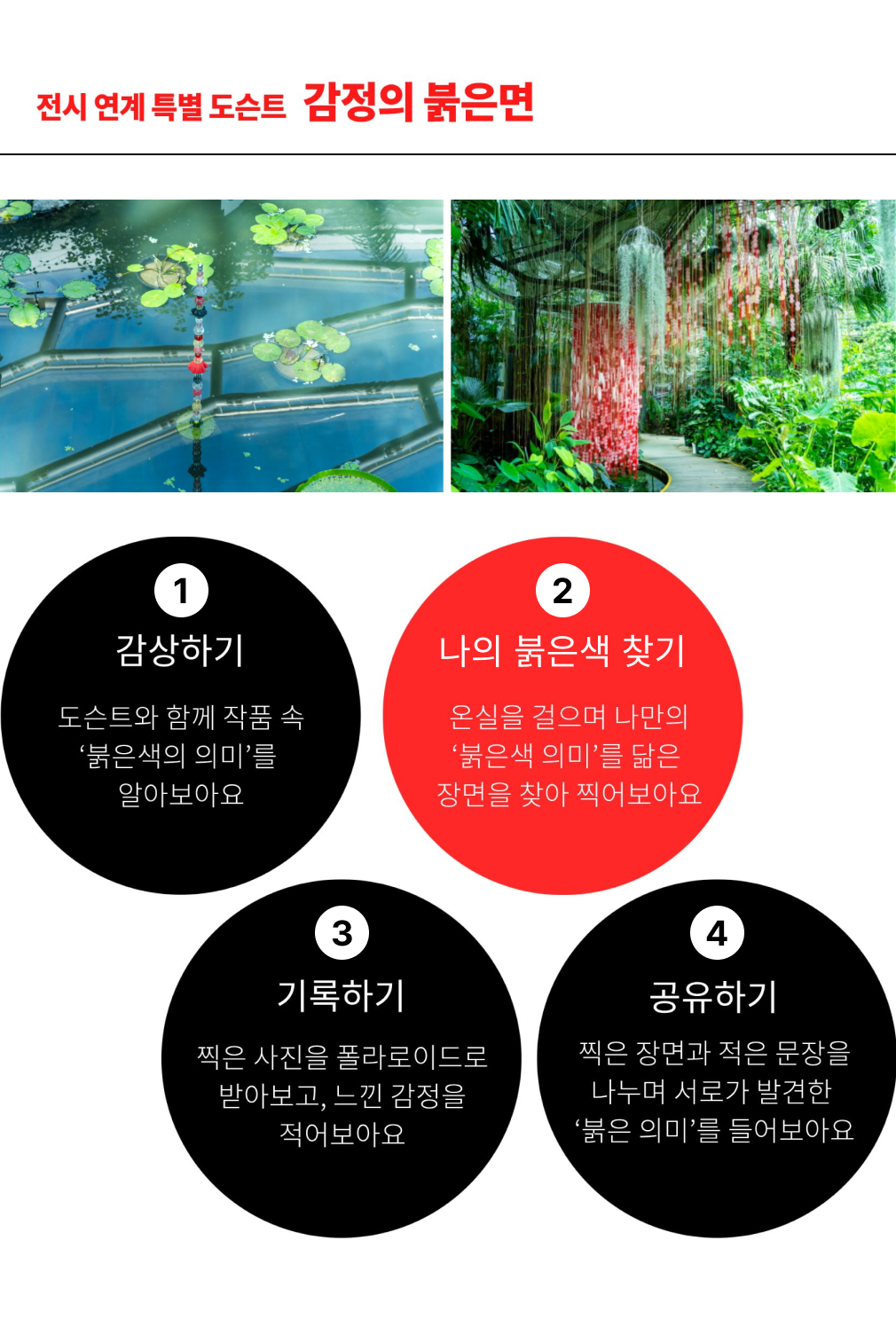 전시 연계 특별 도슨트 감정의 붉은면