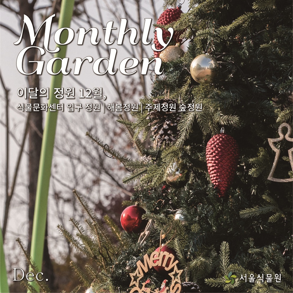 이달의 정원 12월(1) Monthly Garden 이달의 정원 12월, 식물문화센터 입구 정원 | 해봄정원 | 주제정원 숲정원
Dec, 서울식물원