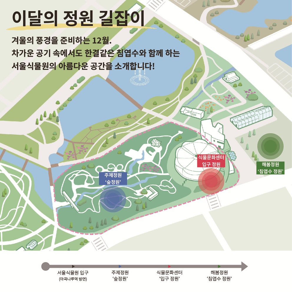 이달의 정원 12월(7) 이달의 정원 길잡이: 겨울의 풍경을 준비하는 12월. 차가운 공기 속에서도 한결 같은 침엽수와 함께하는 서울식물원의 아름다운 공간을 소개합니다!
관람순서: 서울식물원 입구(마곡나루역 방면), 주제정원 ‘숲정원’, 식물문화센터 ‘입구정원’, 해봄정원 ‘침엽수 정원’