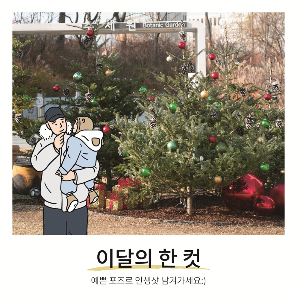 이달의 정원 12월(8) 이달의 한 컷 예쁜 포즈로 인생샷 남겨가세요