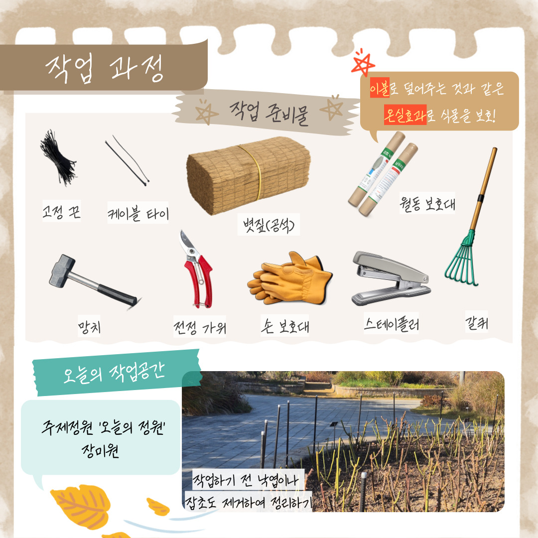 작업 과정 작업 준비물: 고정 끝, 케이블 타이, 볏짚(공석), 월동 보호대(이불로 덮어주는 것과 같은 온실효과로 식물을 보호!), 망치, 전정 가위, 손 보호대, 스테이플러, 갈퀴 오늘의 작업공간: 주제정원 ‘오늘의 정원’ 장미원, 작업하기 전 낙엽이나 잡초도 제거하여 정리하기