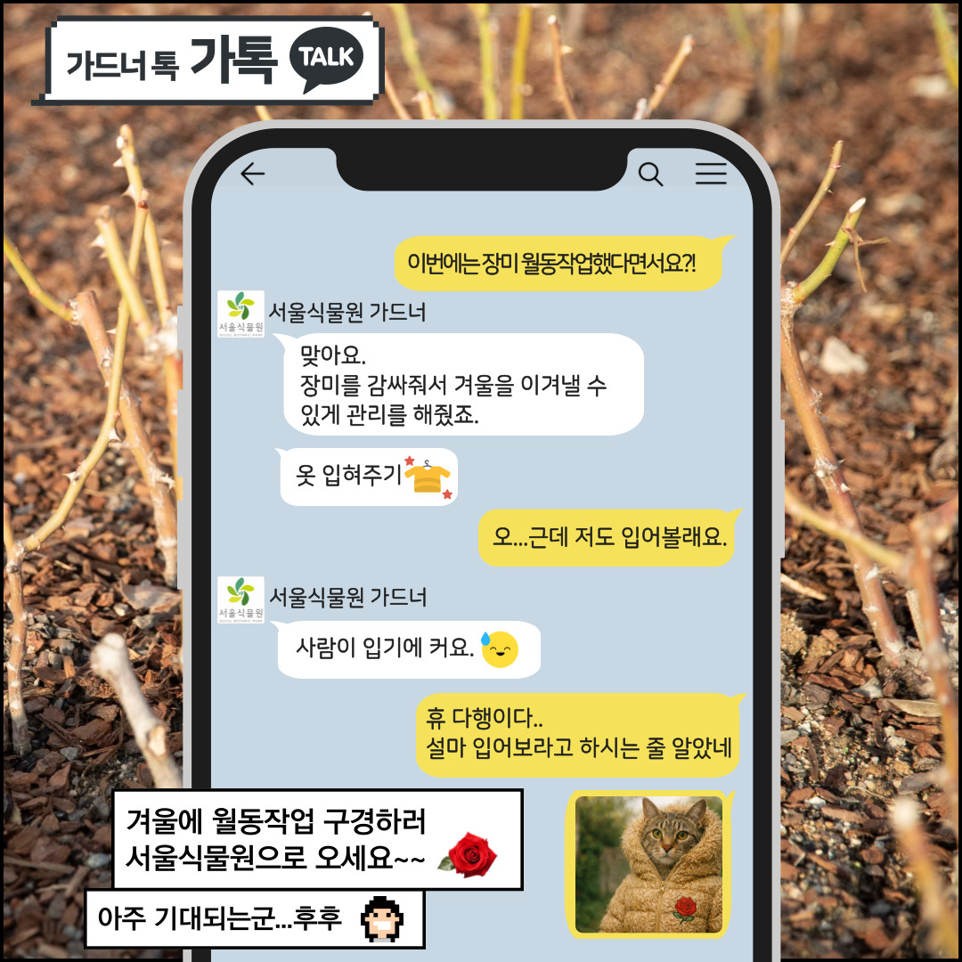 가드너 톡 가톡 TALK Q: 이번에는 장미 월동작업 했다면서요? 서울식물원 가드너: 맞아요. 장미를 감싸줘서 겨울을 이겨낼 수 있게 관리를 해줬죠. 옷 입혀주기. Q: 오… 근데 저도 입어볼래요. 서울식물원 가드너: 사람이 입기에 커요. Q: 휴 다행이다… 설마 입어보라고 하시는 줄 알았네.  겨울에 월동작업 구경하러 서울식물원으로 오세요.  아주 기대 되는군…후후