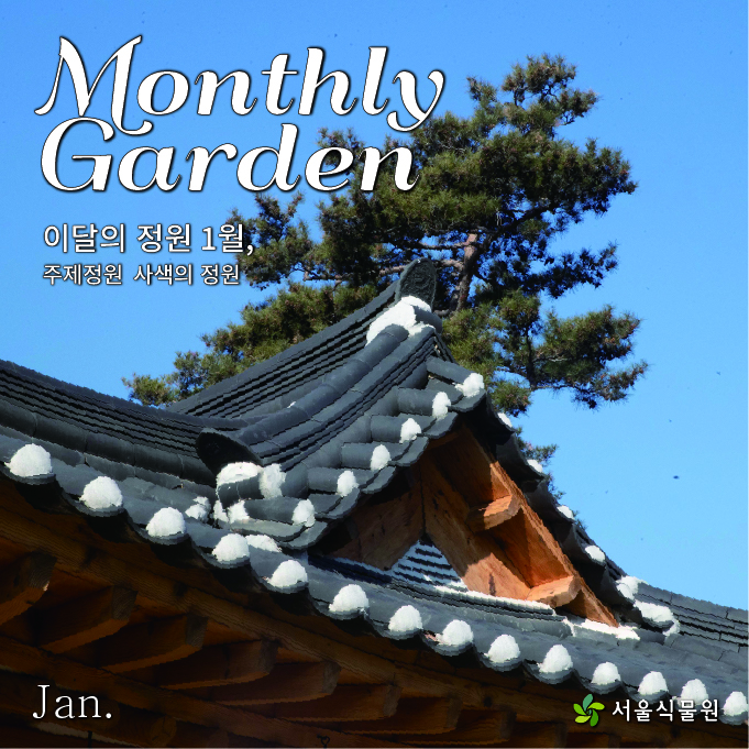 Monthly Garden 이달의 정원 1월, 주제정원 사색의 정원 Jan. 서울식물원