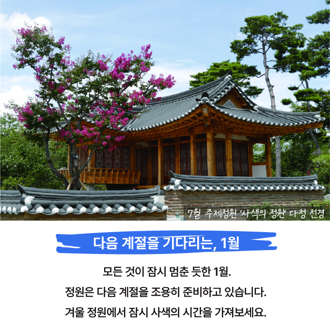7월 주제정원 사색의 정원 다정 전경
다음 계절을 기다리는, 1월
모든 것이 잠시 멈춘 듯한 1월. 정원은 다음 계절을 조용히 준비하고 있습니다. 겨울 정원에서 잠시 사색의 시간을 가져보세요.