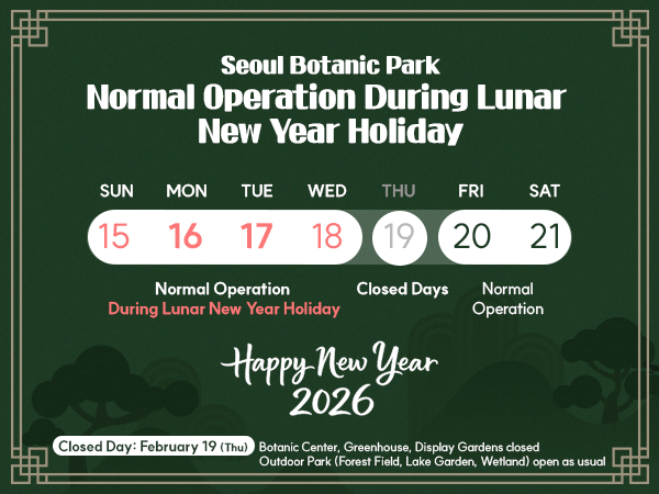 설 연휴 운영안내