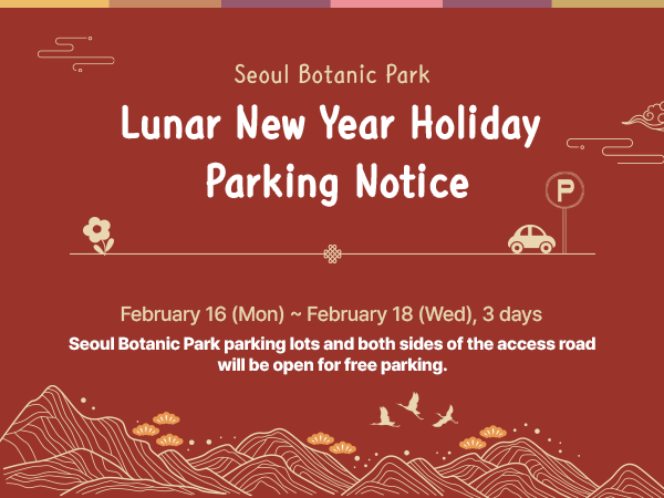 설날 주차 안내