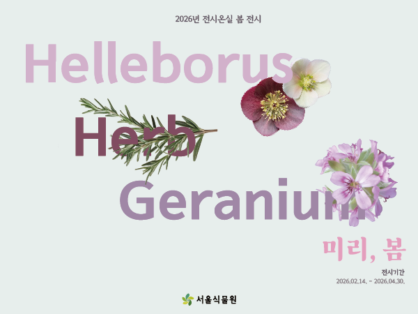 2026년 전시온실 봄 전시 Helleborus, Herb, Geranium 미리, 봄
전시기간 2026년 2월 14일부터 2026년 4월 30일까지
