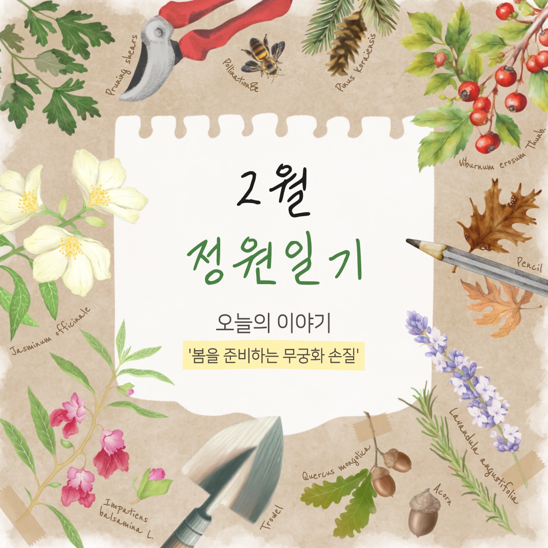 2월 정원일기 오늘의 이야기 봄을 준비하는 무궁화 손질