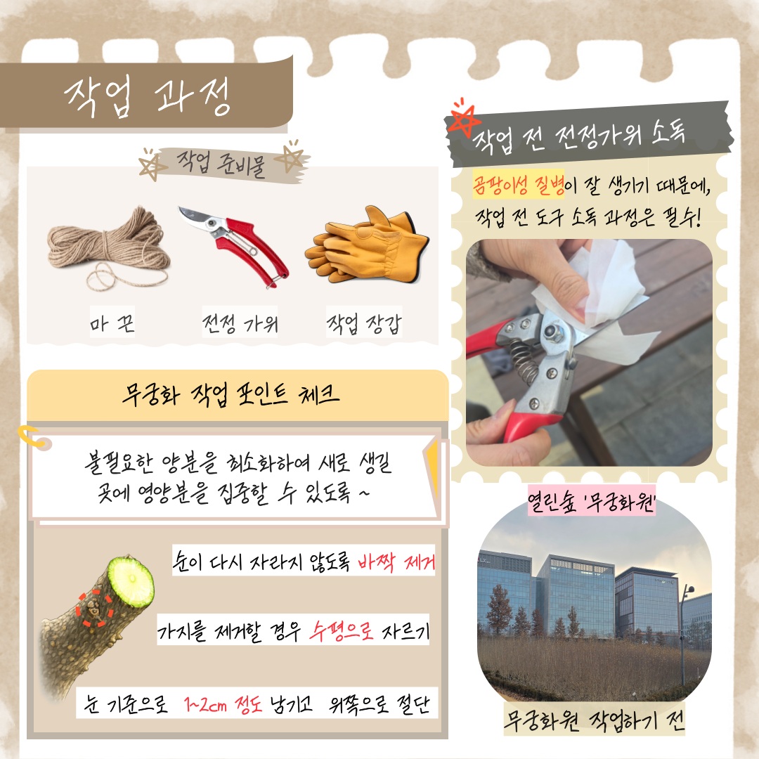 작업 과정
작업 준비물 마 끈, 전정 가위, 작업 장갑
무궁화 작업 포인트 체크 불필요한 양분을 최소화하여 새로 생길 곳에 영양분을 집중할 수 있도록 순이 다시 자라지 않도록 바짝 제거, 가지를 제거할 경우 수평으로 자르기, 눈 기준으로 1에서 2센티미터 정도 남기고 위쪽으로 절단
작업 전 전정가위 소독 곰팡이성 질병이 잘 생기기 때문에, 작업 전 도구 소독 과정은 필수!
열린숲 무궁화원 무궁화원 작업하기 전