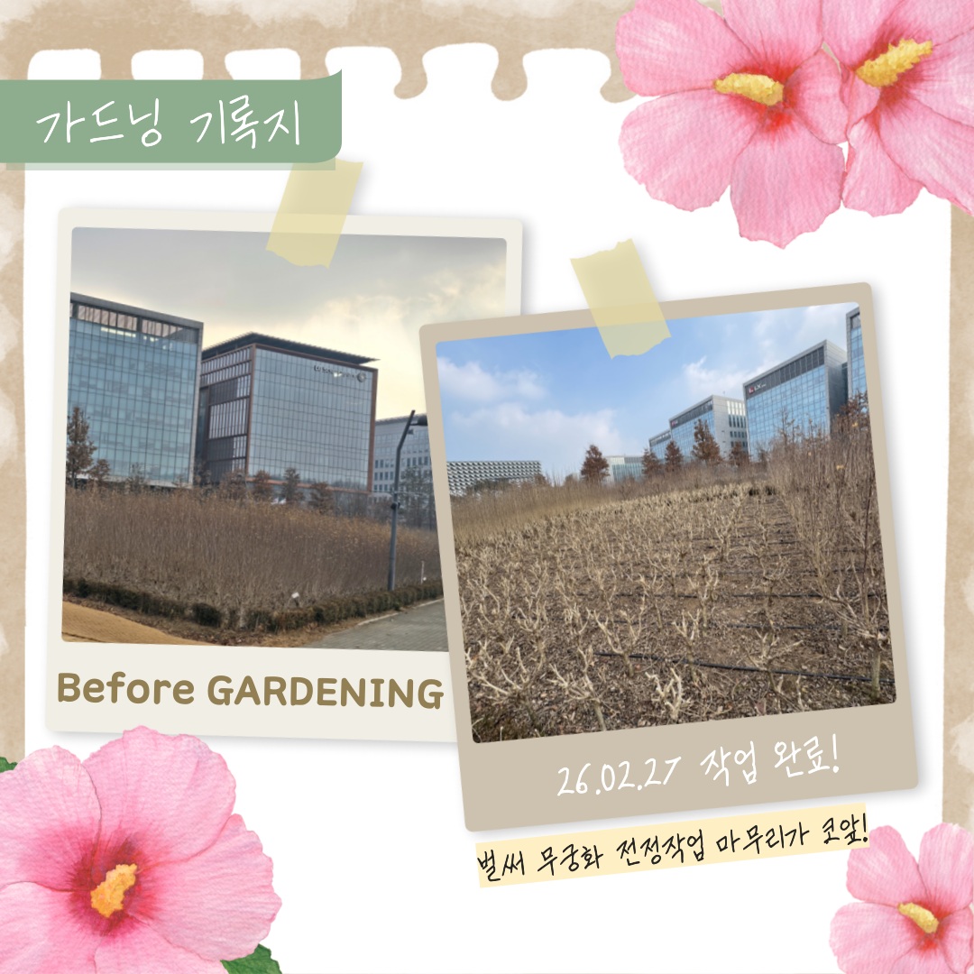 가드닝 기록지
Before GARDENING
26년 2월 27일 작업 완료 벌써 무궁화 전정작업 마무리가 코앞