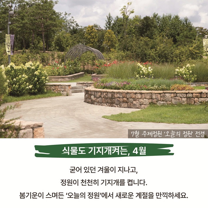 7월 주제정원 오늘의 정원 전경
식물도 기지개켜는, 4월 굳어 있던 겨울이 지나고, 정원이 천천히 기지개를 켭니다. 봄기운이 스며든 오늘의 정원에서 새로운 계절을 만끽하세요.