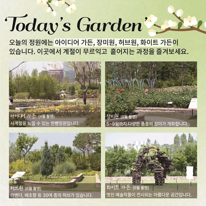 Today’s Garden 오늘의 정원에는 아이디어 가든, 장미원, 허브원, 하이트 가든이 있습니다. 이곳에서 계절이 무르익고 흩어지는 과정을 즐겨보세요.
아이디어 가든(4월 촬영) 사계절을 느낄 수 있는 한뼘정원입니다.
장미원(8월 촬영) 5~9월까지 다양한 품종의 장미가 개화합니다.
허브원(6월 촬영) 라벤더, 배초향 등 30여 종의 허브가 있습니다.
화이트 가든(6월 촬영) 멋진 예술작품이 전시되는 아름다운 공간입니다.