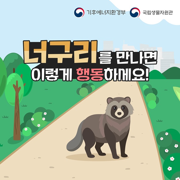 기후에너지환경부, 국립생물자원관
너구리를 만나면 이렇게 행동하세요!
