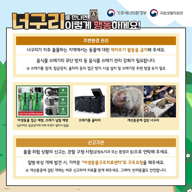 기후에너지환경부, 국립생물자원관
너구리를 만나면 이렇게 행동하세요!
주변환경 관리: 너구리가 자주 출몰하는 지역에서는 동물에 대한 먹이주기 활동을 금지해 주세요. 음식물 쓰레기의 무단 방치 등 음식물 쓰레기 관리 강화가 필요합니다. 쓰레기통 덮개, 잠금장치, 울타리 등의 접근 방지 시설 설치 및 쓰레기장 주변 청결 유지 필요
야생동물 접근 예방, 쓰레기 넘침 예방(넘어져도 잠금장치에 의해 뚜껑이 열리지 않음)사진
쓰레기통 울타리 사진
개선충증에 걸린 너구리 사진
신고기관: 출몰, 위험 상황의 신고는 관할 구청, 시청(공원녹지과 또는 환경과 등)으로 연락해주세요. 질병, 부상 개체 발견 시, 가까운 야생동물구조치료센터로 구조요청을 해주세요.
개선충증에 걸린 개체는 바로 신고하여 치료를 받게 해주세요. 그래야, 반려동물도 안전합니다.