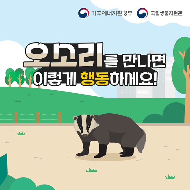 기후에너지환경부, 국립생물자원관
오소리를 만나면 이렇게 행동하세요!