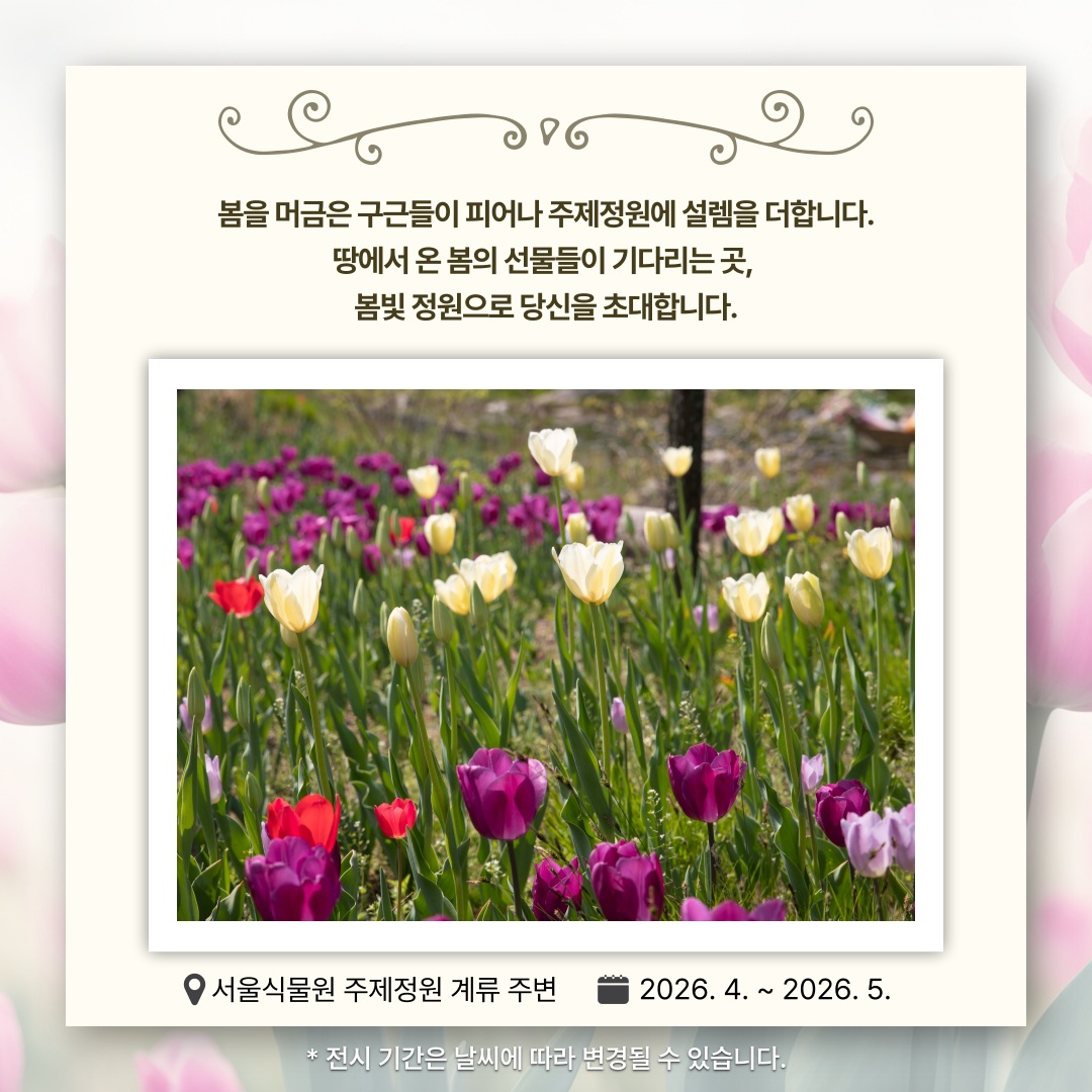 봄을 머금은 구근들이 피어나 주제정원에 설렘을 더합니다. 땅에서 온 봄의 선물들이 기다리는 곳, 봄빛 정원으로 당신을 초대합니다.
서울식물원 주제정원 계류 주변 2026년 4월부터 2026년 5월까지
전시 기간은 날씨에 따라 변경될 수 있습니다.