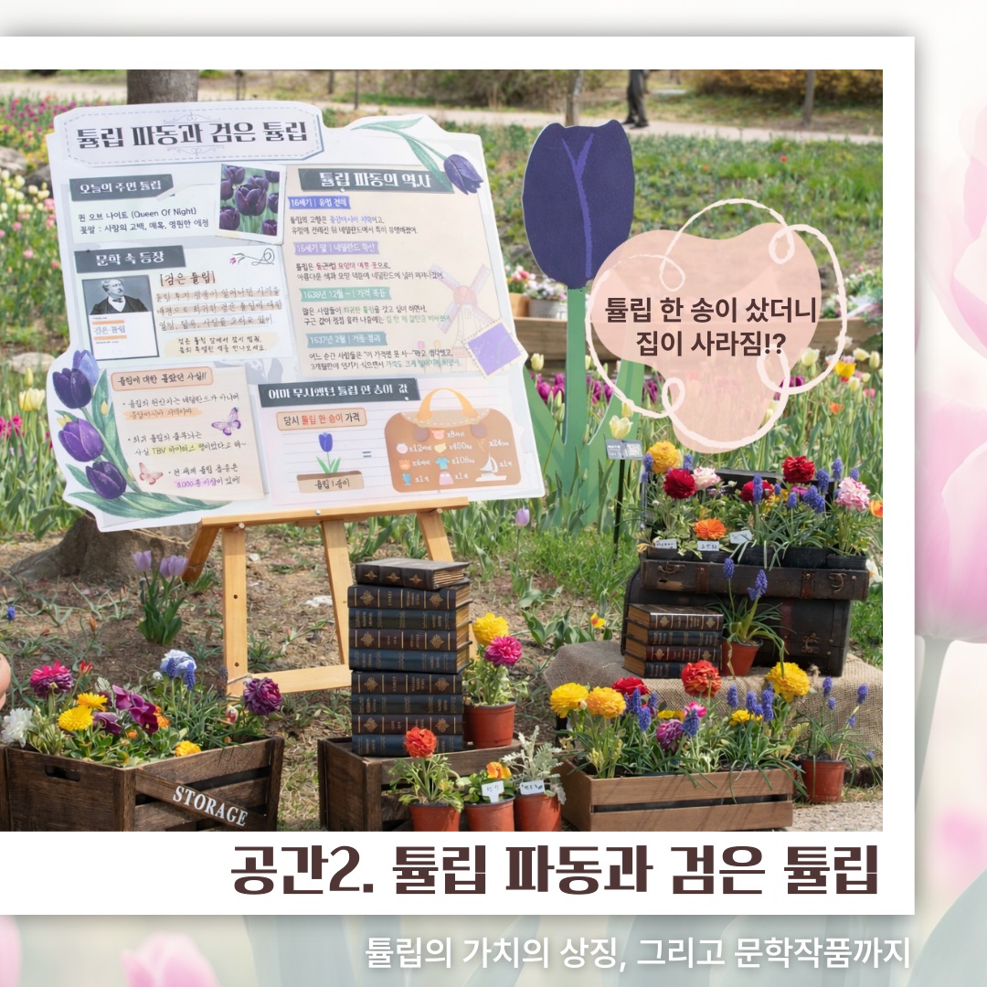 공간2. 튤립 파동과 검은 튤립
튤립 한 송이 샀더니 집이 사라짐!?
튤립의 가치의 상징, 그리고 문학작품까지
