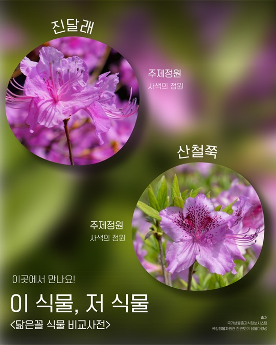 서울식물원 사색의 정원 위치