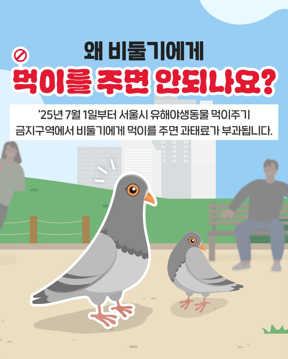 왜 비둘기에게 먹이를 주면 안되나요? 25년 7월 1일부터 서울시 유해야생동물 먹이주기 금지구역에서 비둘기에게 먹이를 주면 과태료가 부과됩니다.