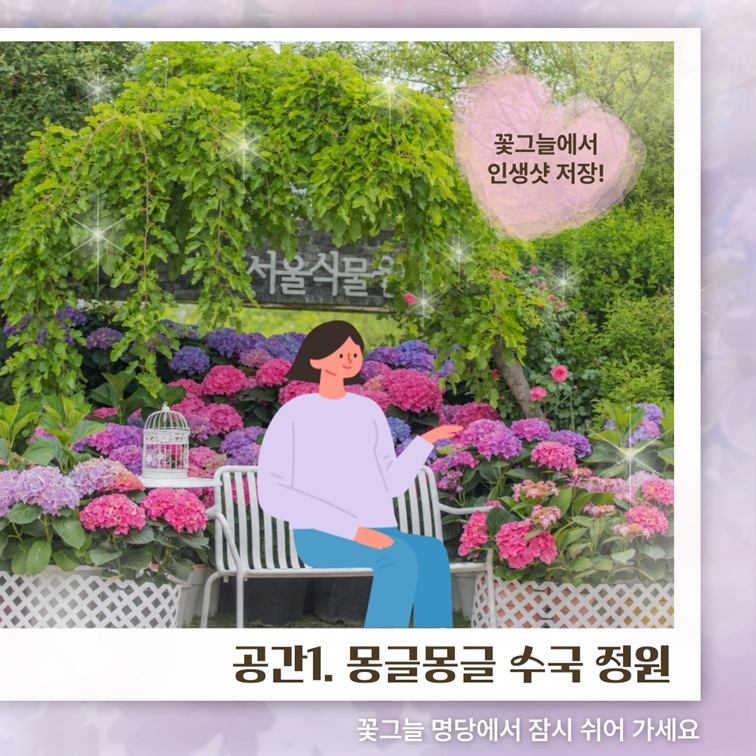 공간1. 몽글몽글 수국 정원 소개