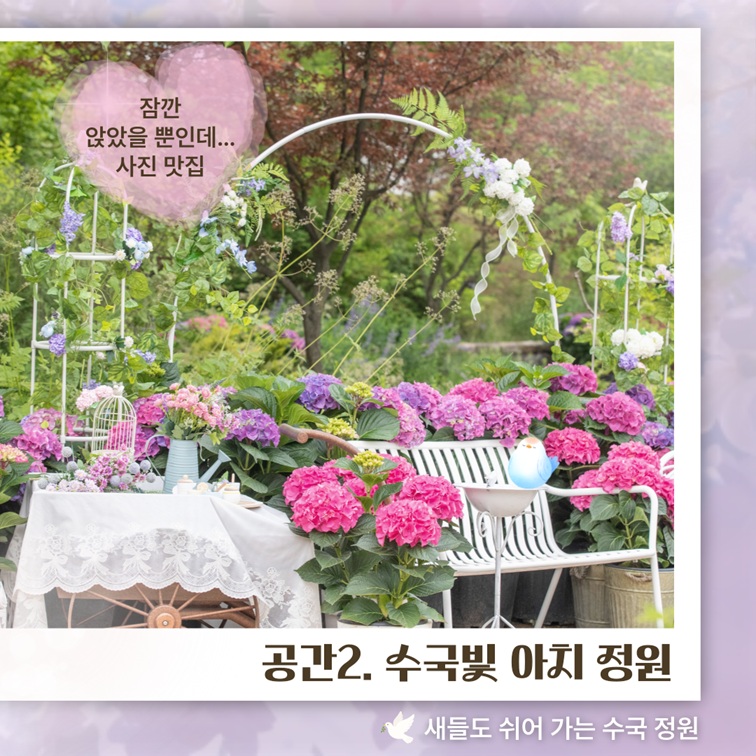 공간2. 수국빛 아치 정원 소개