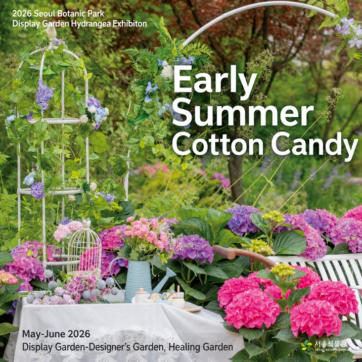 2026 Seoul Botanic Park Display Garden Hydrangea Exhibiton Early Summer Cotton Candy May-June 2026 Display Garden-Designer's Garden, Healing Garden