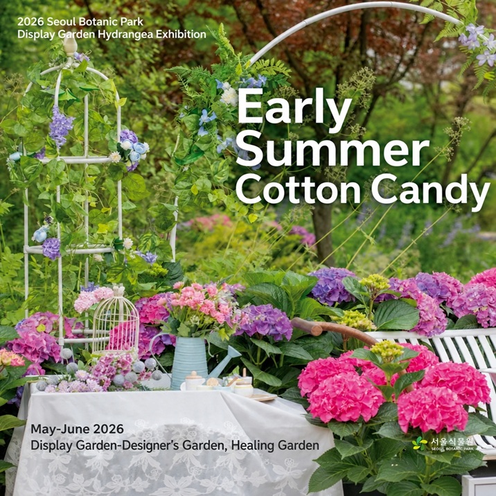 %EC%98%81%EC%96%B41(%EC%88%98%EC%A0%95)_%ED%81%AC%EA%B8%B0.jpg 2026 Display Garden Hydrangea Exhibition「Early Summer Cotton Candy」1