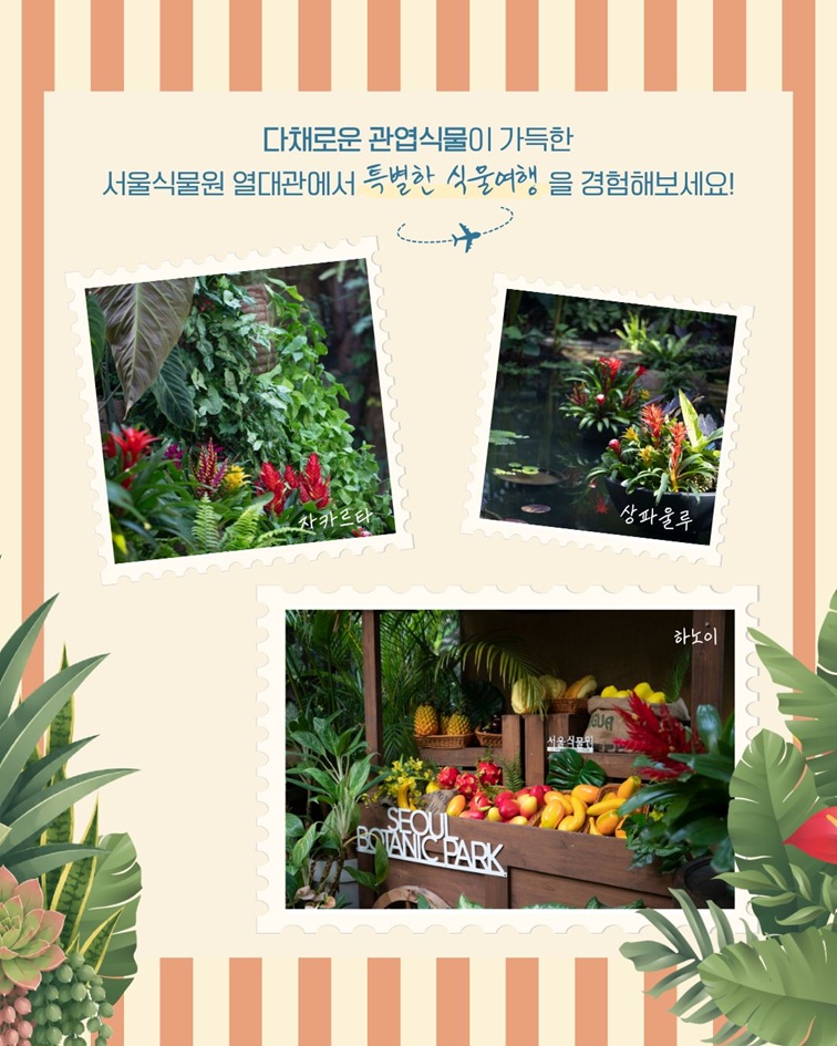 [1편 열대관 안내 - 다채로운 관엽식물이 가득한 서울식물원 열대관에서 특별한 식물여행을 경험해보세요!
자카르타, 상파울루, 하노이 구역 사진]