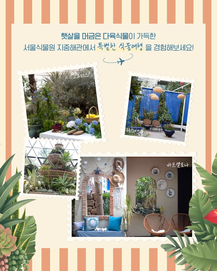 [2편 지중해관 안내 - 햇살을 머금은 다육식물이 가득한 서울식물원 지중해관에서 특별한 식물여행을 경험해보세요!
그리스, 이스탄불, 로마, 바르셀로나 구역 사진]