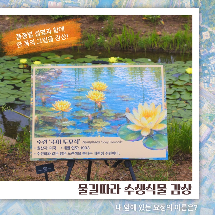 내 앞에 있는 요정의 이름은? 물길따라 수생식물 감상