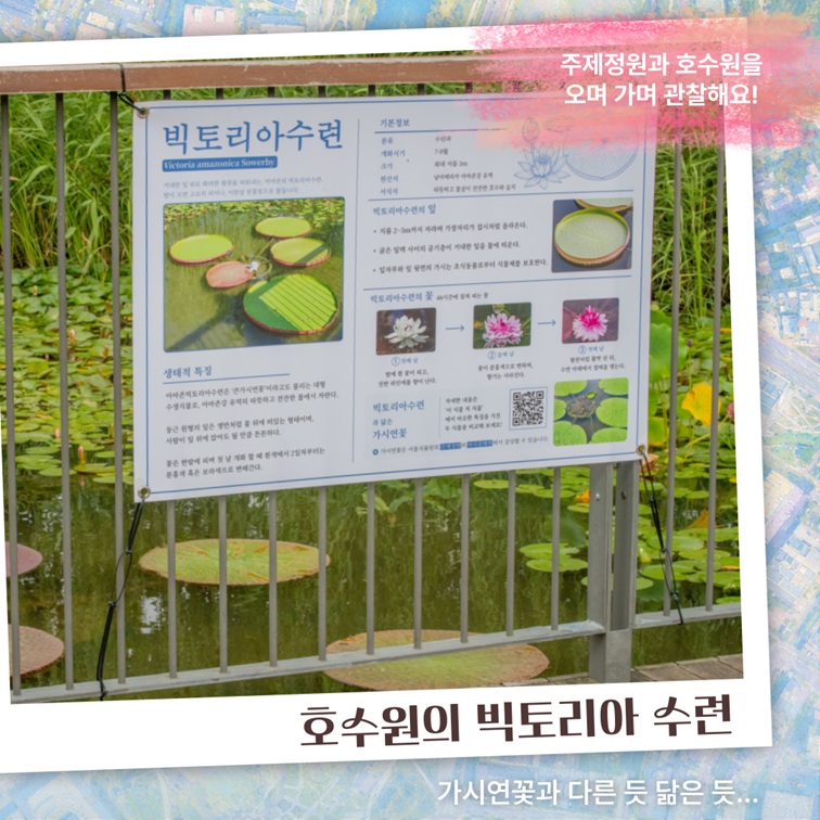 주제정원과 호수원을 오며 가며 관찰해요!