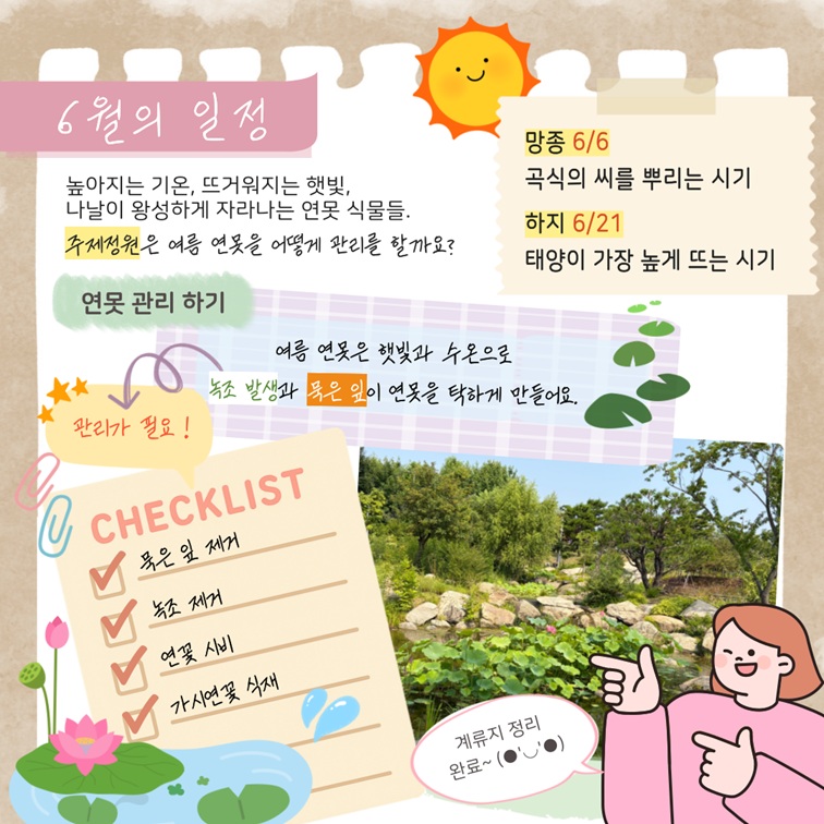 6월의 일정 ...