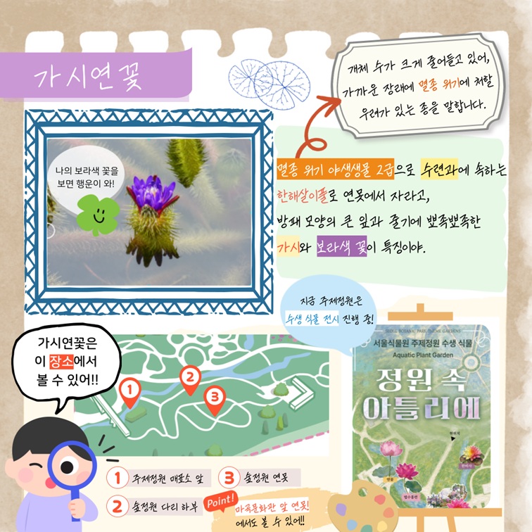가시연꽃 ...