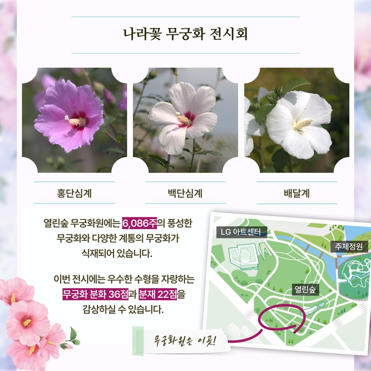 홍단심계, 백단심계, 배달계 무궁화 및 분화 안내