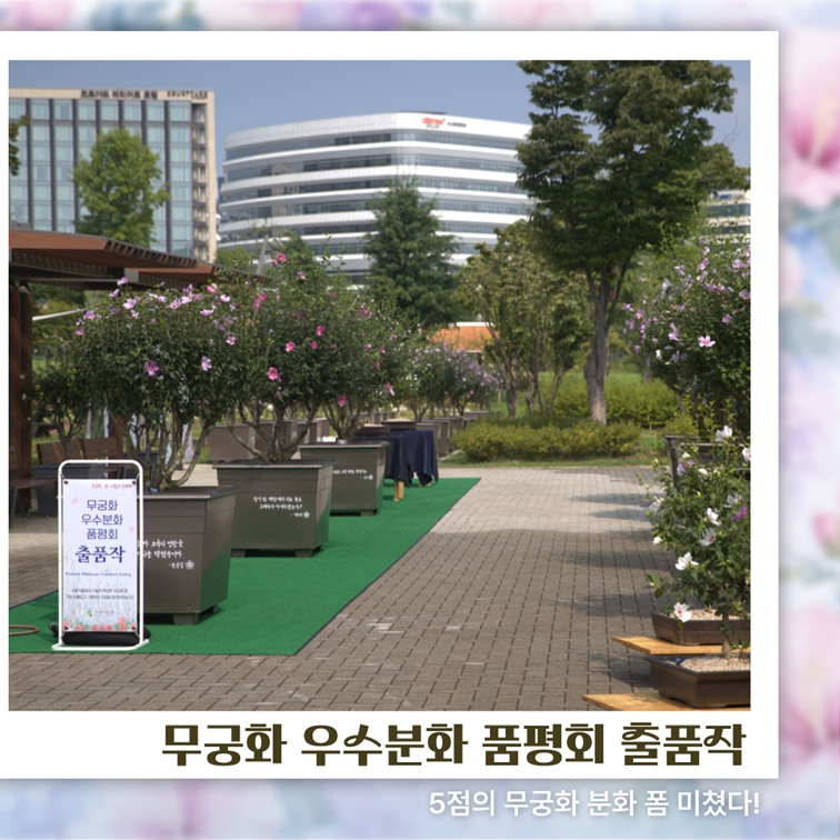 무궁화 우수분화 품평회 출품작