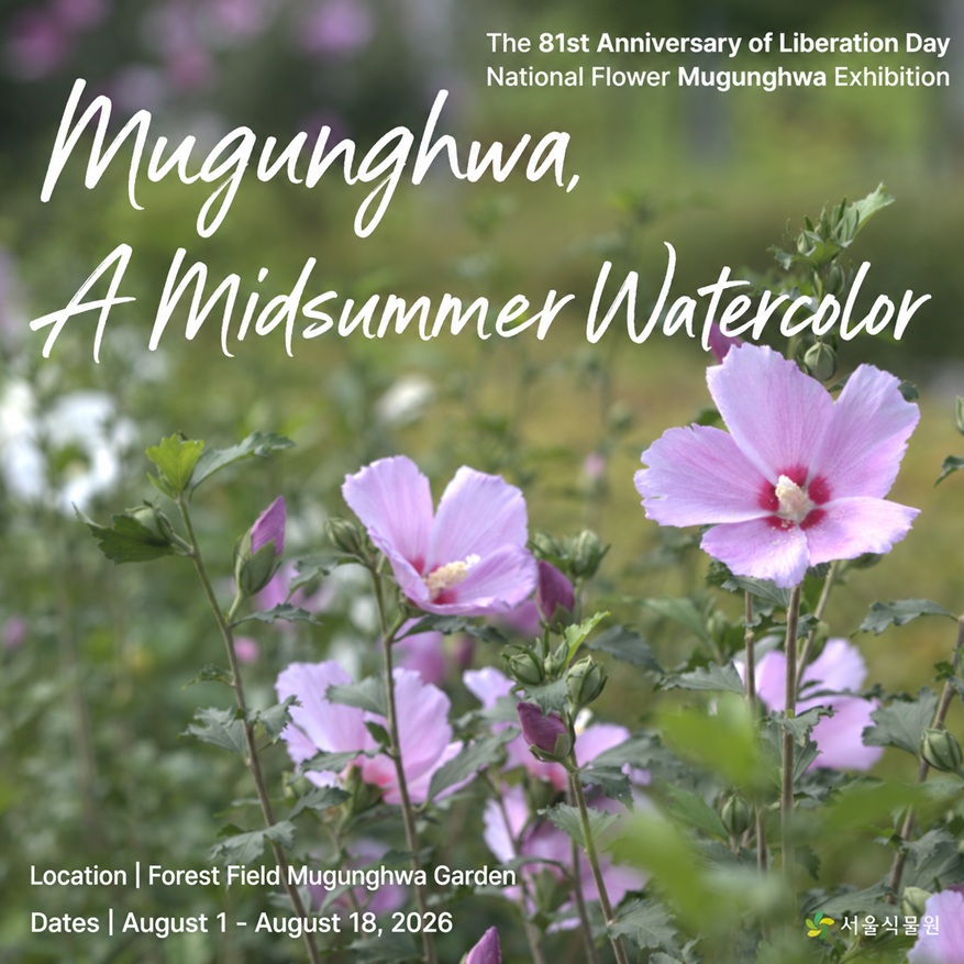The 81st Anniversary of Liberation Day National Flower Mugunghwa Exhibition - Mugunghwa, A Midsummer Watercolor