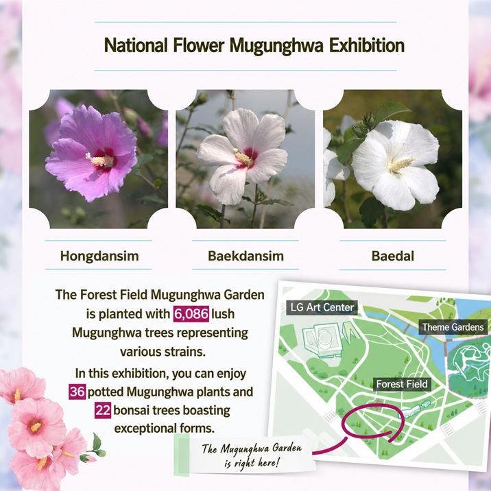 Hongdansim, Baekdansim, and Baedal Mugunghwa varieties and potted plants guide