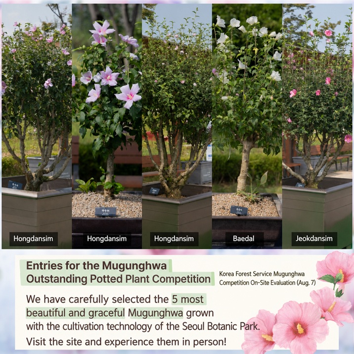 Korea Forest Service Mugunghwa Competition On-Site Evaluation and Award-Winning Entries