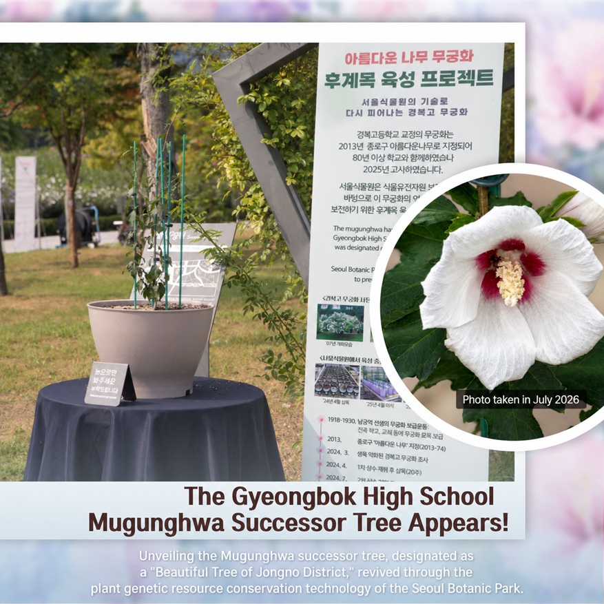 Unveiling the Gyeongbok High School Mugunghwa Successor Tree