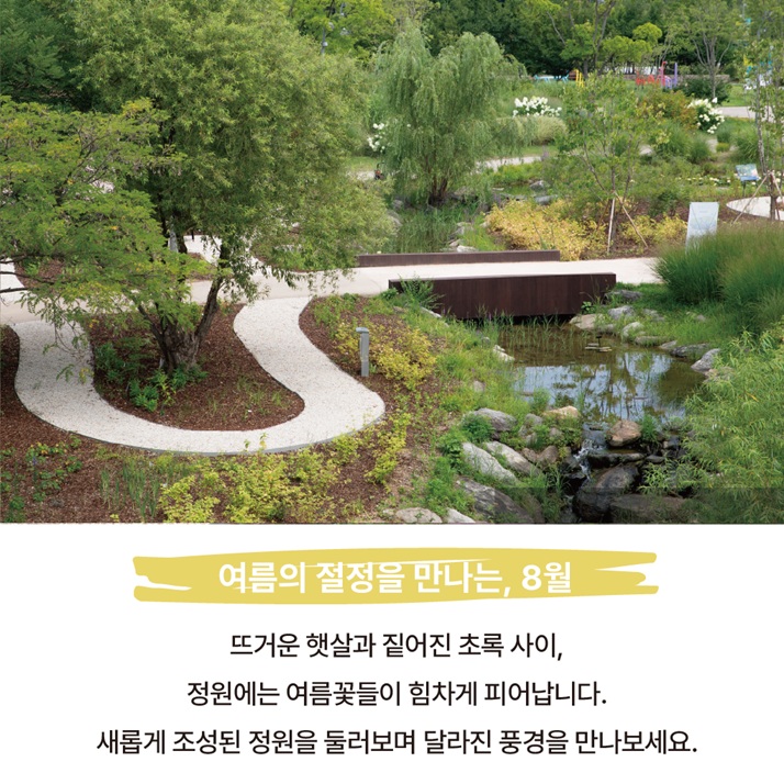 8월 주제정원 '바람의 정원' 전경. 여름의 절정을 만나는 8월, 뜨거운 햇살과 짙어진 초록 사이에서 정원의 여름꽃과 달라진 풍경을 만나보세요.