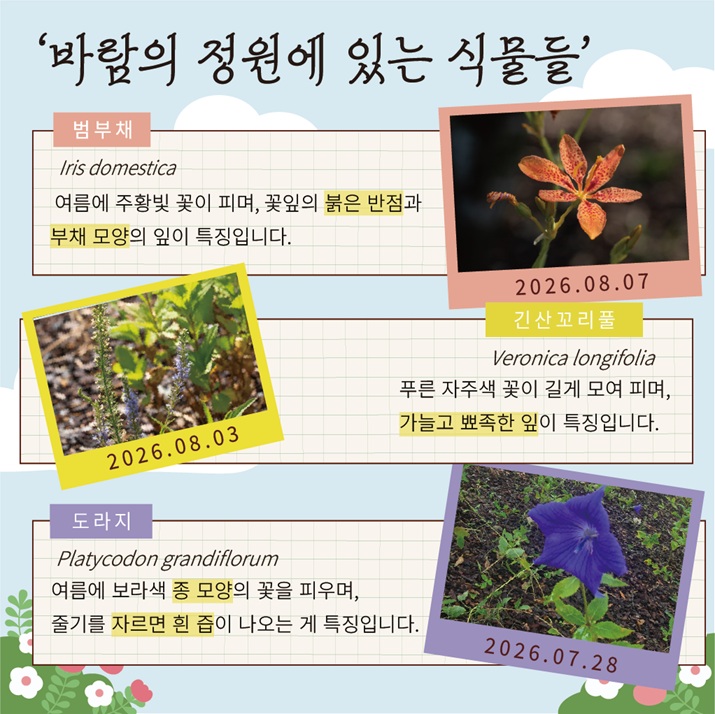 바람의 정원에 있는 식물들 상세 사진